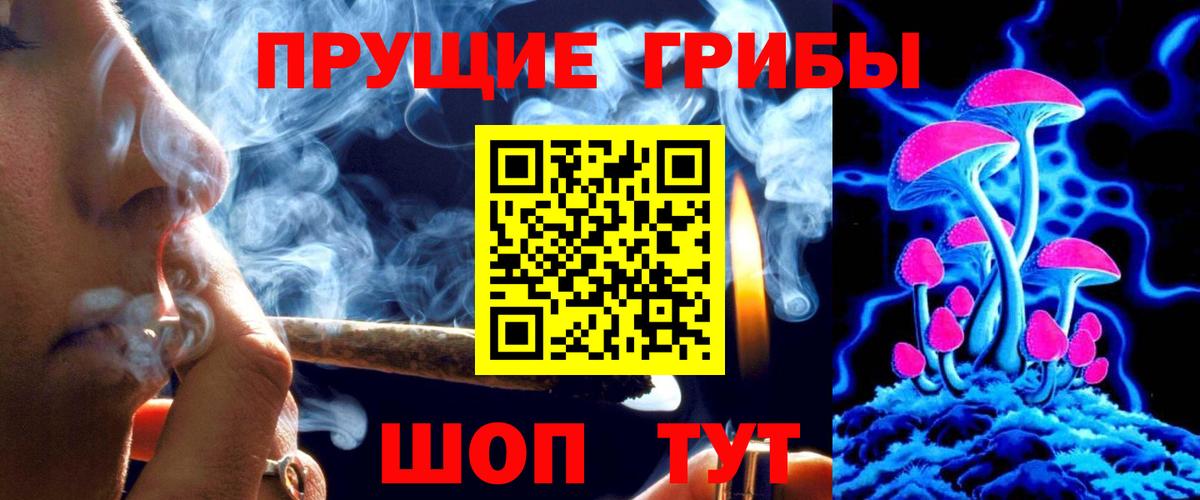 Псилоцибиновые грибы мицелий Железногорск